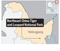 Το Πάρκο Τίγρης και οι προσπάθειες οικολογικής διατήρησης στην ΒΑ. Κίνα
