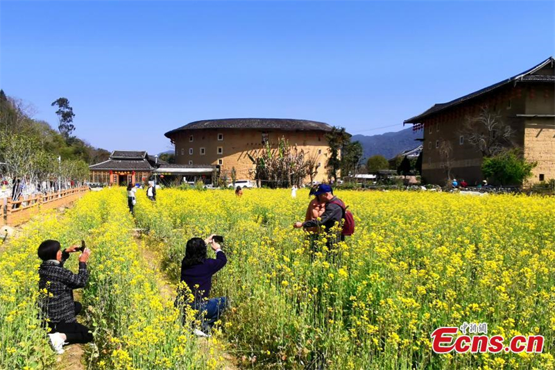 Λουλούδια και τουλόου συνθέτουν μια ειδυλλιακή συμφωνία στο Φουτζιέν