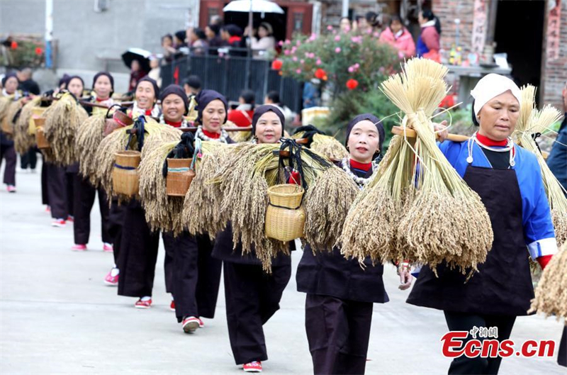 Λαϊκό φεστιβάλ για τον εορτασμό της συγκομιδής στο Γκουανγκσί
