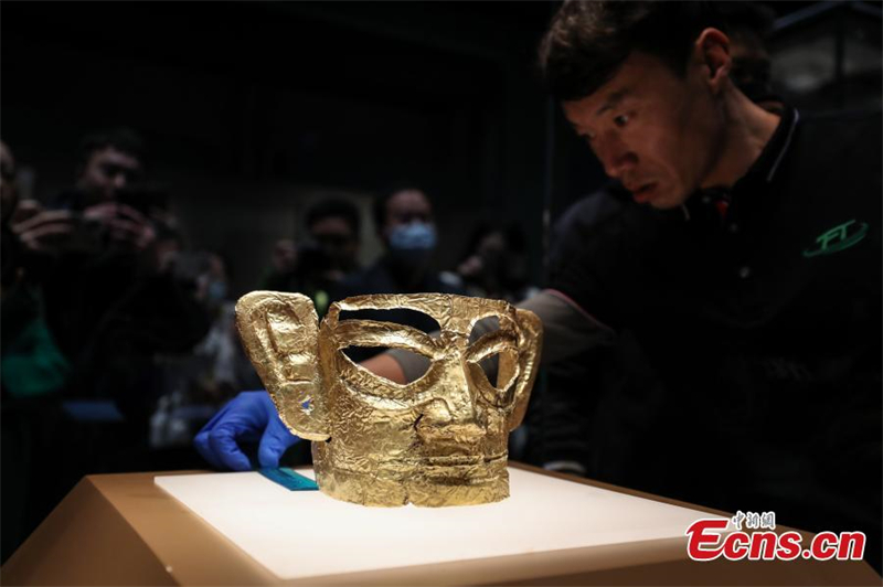 Ειδικός τακτοποιεί μια χρυσή μάσκα, που ανακαλύφθηκε στο σπήλαιο θυσιών Αριθμός 3 των ερειπίων Σανσινγκντούι, στο ανατολικό τμήμα του Μουσείου της Σαγκάης, 29 Ιανουαρίου 2024. (Φωτογραφία: China News Service / Zhang Hengwei)