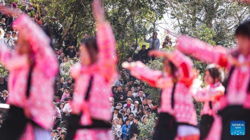 Η εθνότητα των Μιάο γιορτάζει το φεστιβάλ 