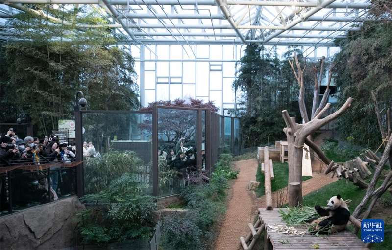Νοτιοκορεάτες επισκέπτονται το γιγάντιο Πάντα Φουμπάο στον ζωολογικό κήπο Everland της Νότιας Κορέας, στις 20 Φεβρουαρίου. (Φωτογραφία / Xinhua)