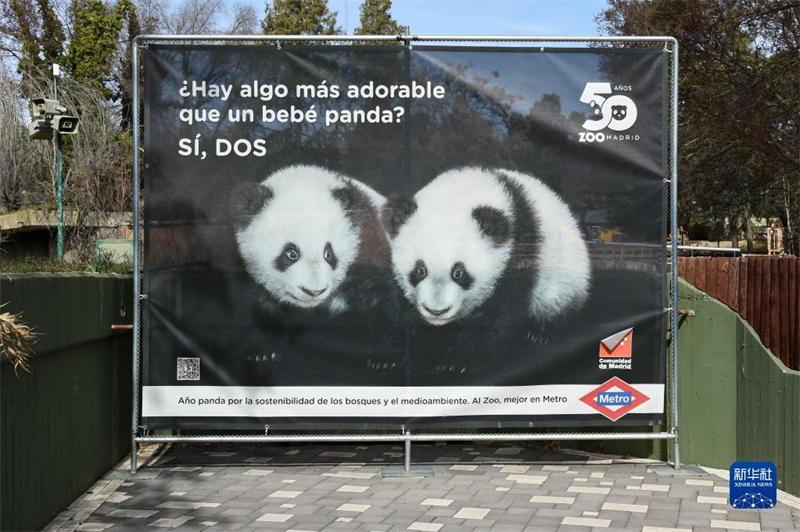 Μια μεγάλη αφίσα των Πάντα στο ζωολογικό κήπο στην Μαδρίτη. (Φωτογραφία / Xinhua)