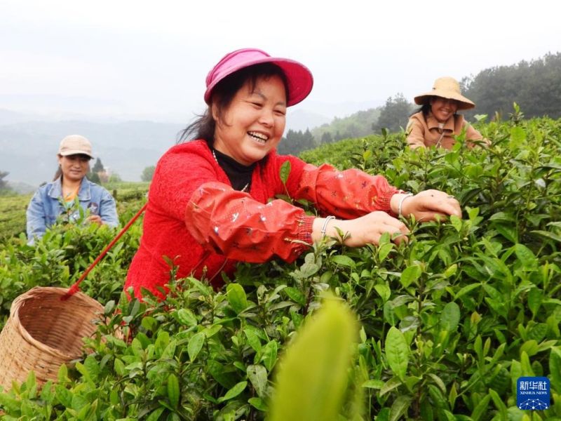 Αγρότες στην Κίνα απασχολούνται με γεωργικές εργασίες καθώς η περίοδος των βροχών πλησιάζει
