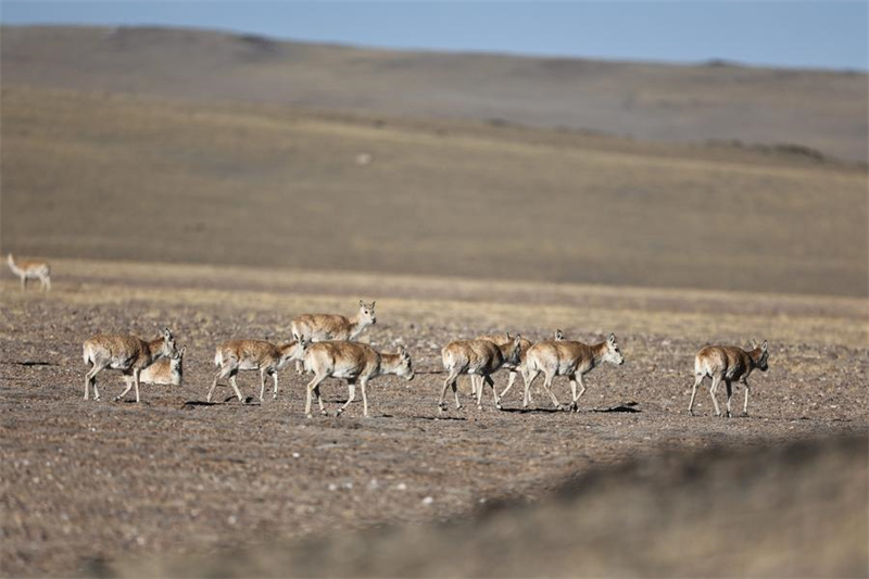 (Φωτογραφία / Xinhua)