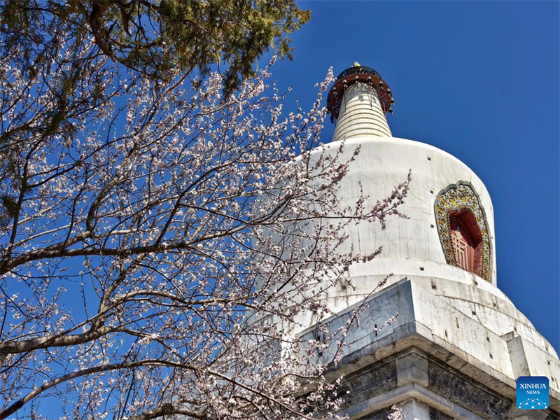 Γιορτάστηκε η Ισημερία της Άνοιξης (Chunfen) σε όλη την Κίνα
