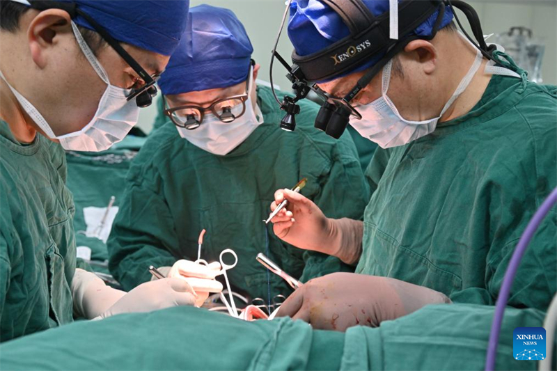 Γιατροί  εμφυτεύουν μια μαγνητικά ανυψωμένη συσκευή βηματικής καρδιακής υποστήριξης σε ένα αγόρι στην πόλη Ουχάν, στην κεντρική Κίνα, στην επαρχία Χουμπέι, στις 30 Μαρτίου 2025. (Φωτογραφία / Xinhua)