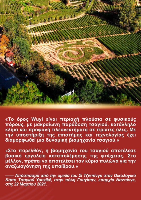 Η Ιστορία του Προέδρου Σι Τζινπίνγκ και του Τσαγιού της Φουτζιέν