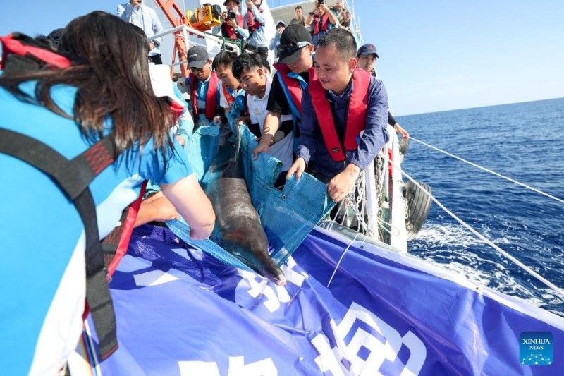Δελφίνι που ξεβράστηκε στην ακτή επιστρέφει στη θάλασσα μετά από εξειδικευμένη περίθαλψη στη νότια Κίνα