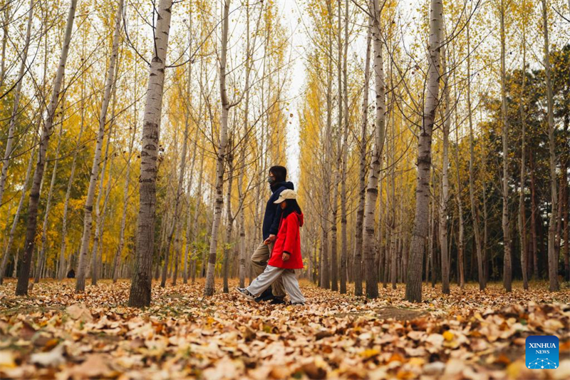 Τουρίστες απολαμβάνουν το φθινοπωρινό τοπίο στην πόλη Τσανγκτσούν