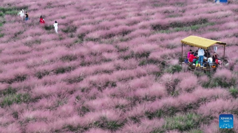 Φθινοπωρινά τοπία σε όλη την Κίνα