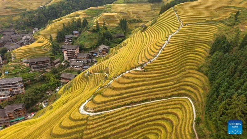 Φθινοπωρινά τοπία σε όλη την Κίνα