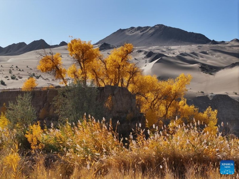 Φθινοπωρινά τοπία σε όλη την Κίνα