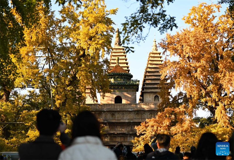 Το Μουσείο Λιθογλυπτικής Τέχνης του Πεκίνου προσελκύει τουρίστες