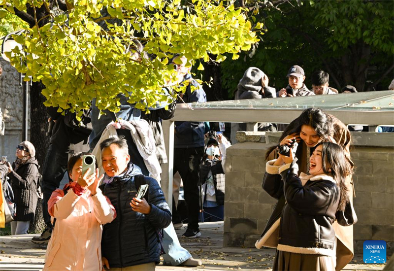 Το Μουσείο Λιθογλυπτικής Τέχνης του Πεκίνου προσελκύει τουρίστες