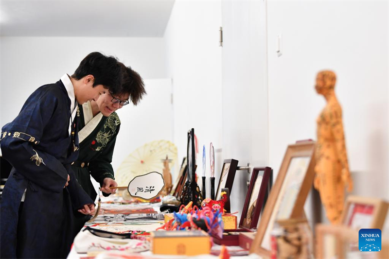 Πολιτιστική εκδήλωση με θέμα την άυλη πολιτιστική κληρονομιά της Κίνας στην Ελβετία