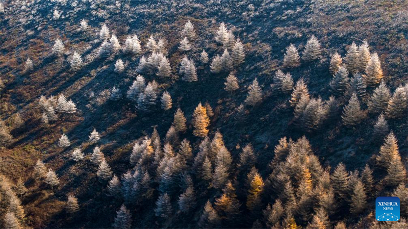 Φθινοπωρινό τοπίο του Βουνού Λιοουπανσάν στην Αυτόνομη Περιοχή Νινγκσιά