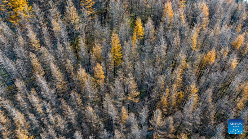 Φθινοπωρινό τοπίο του Βουνού Λιοουπανσάν στην Αυτόνομη Περιοχή Νινγκσιά
