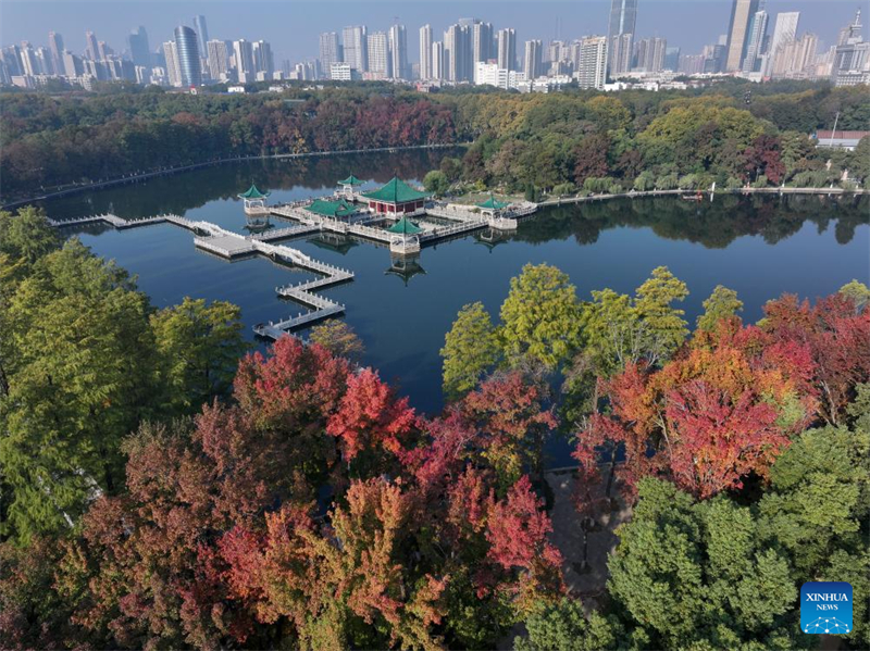 Φθινοπωρινό τοπίο σε όλη την Κίνα