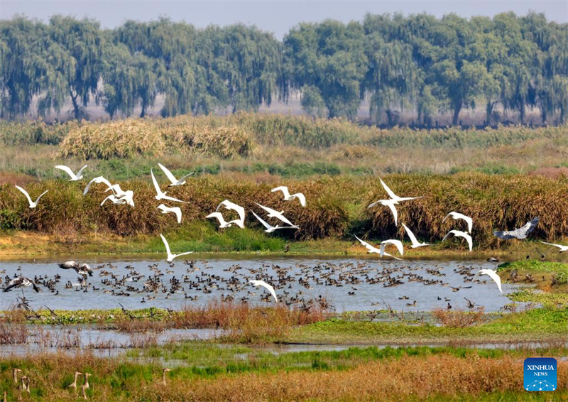 Φθινοπωρινό τοπίο σε όλη την Κίνα