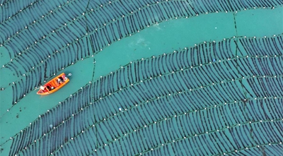 Η επαρχία Σαντόνγκ κατασκευάζει θαλάσσιες φάρμες για να εμπλουτίσει την «αποθήκη μπλε τροφίμων»