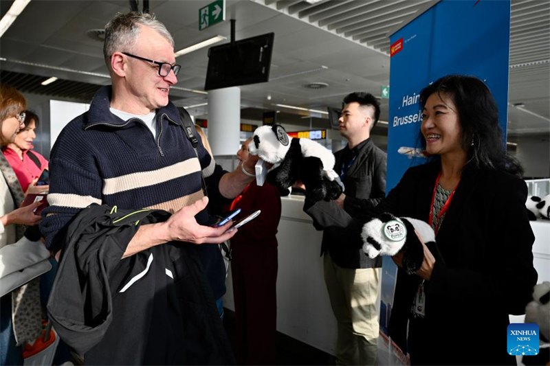 Ένας επιβάτης που θα επιβιβαστεί στην πρώτη πτήση HU470 της Hainan Airlines από τις Βρυξέλλες προς τον δήμο Τσονγτσίνγκ, λαμβάνει ένα παιχνίδι με τη μορφή πάντα στο αεροδρόμιο των Βρυξελλών στο Βέλγιο, στις 22 Νοεμβρίου 2025. (Φωτογραφία / Xinhua)