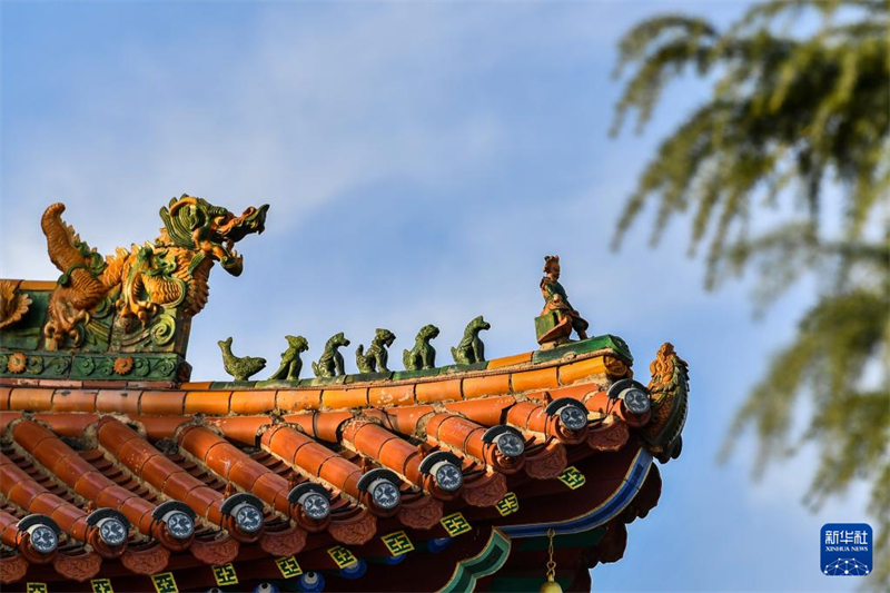 «Ξωτικά» σκαρφαλωμένα στις κορυφές αρχαίων στεγών