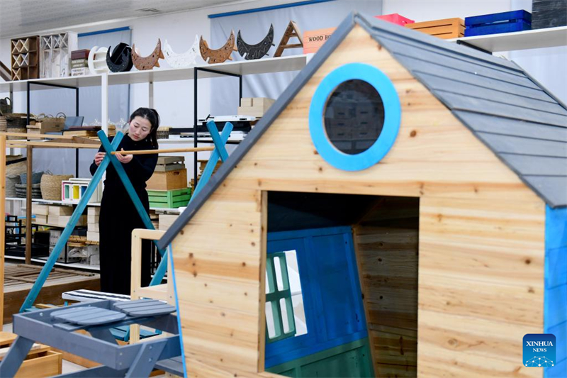 Η κομητεία Τσαοσιάν βιώνει ταχεία ανάπτυξη της οικονομίας των κατοικίδιων ζώων