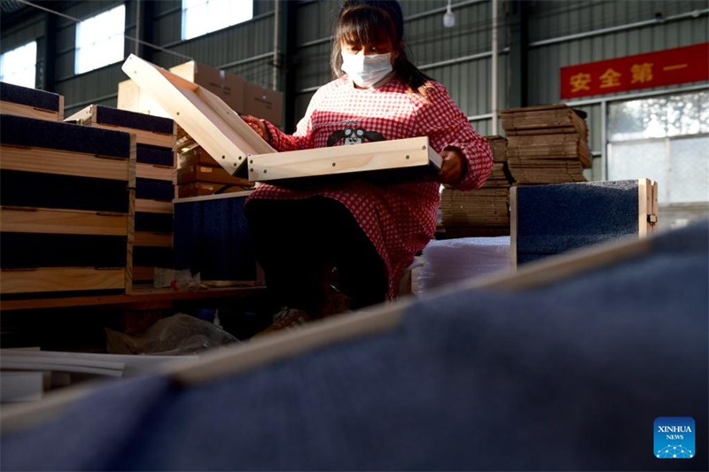 Η κομητεία Τσαοσιάν βιώνει ταχεία ανάπτυξη της οικονομίας των κατοικίδιων ζώων