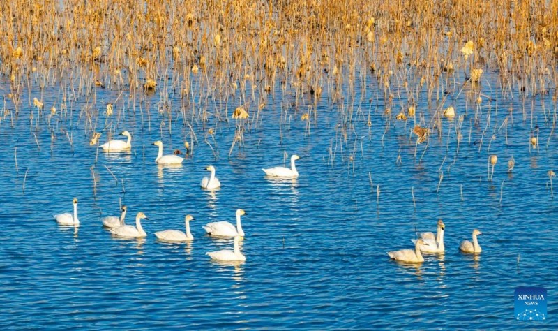 Χειμερινά τοπία σε όλη την Κίνα