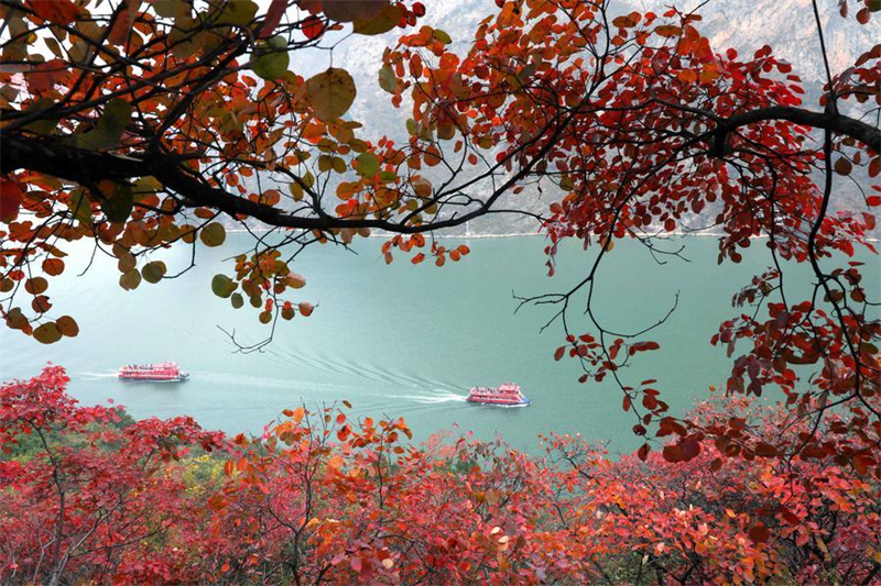 (Φωτογραφία / Xinhua)