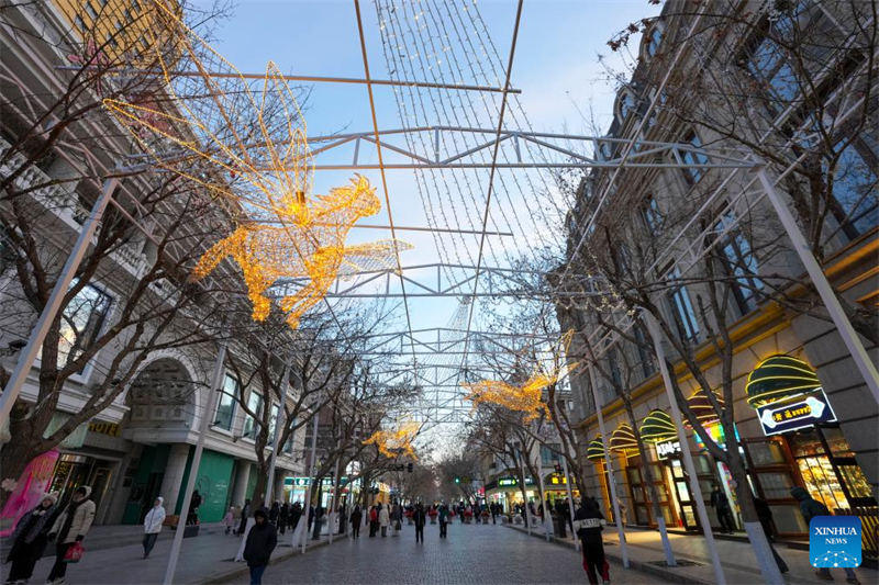 Τουρίστες επισκέπτονται την Κεντρική Οδό στην πόλη Χαρμπίν