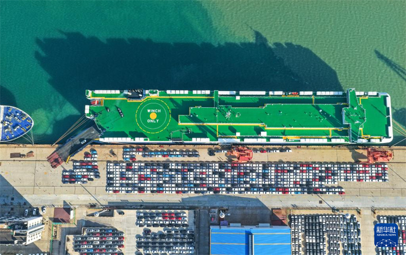 Η εξαγωγή οχημάτων νέας ενέργειας από το Λιμάνι Λιανγιουνγκάνγκ έχει σημειώσει σημαντική αύξηση