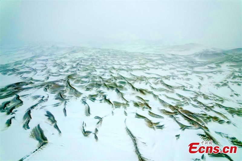 Η έρημος Κουμ Ταγκ καλωσορίζει την πρώτη χιονόπτωση του χειμώνα