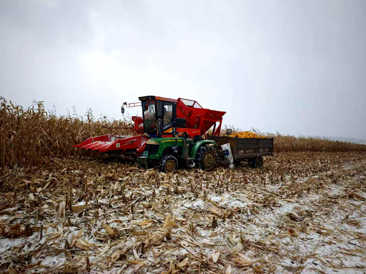 (Φωτογραφία / Λαϊκή Καθημερινή Online)