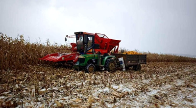 Οι αγορές σιτηρών το φθινόπωρο ξεπέρασαν τα 200 εκατομμύρια τόνους στην Κίνα