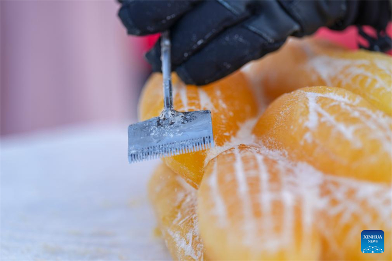 Ένας γλύπτης σκαλίζει ένα γλυπτό από πάγο βαμμένο με φυτικές χρωστικές ουσίες στο Πάρκο Πάγου και Χιονιού του Χαρμπίν, στη πόλη Χαρμπίν της επαρχίας Χεϊλονγκτζιάνγκ, στις 28 Ιανουαρίου του 2026. (Φωτογραφία / Xinhua)