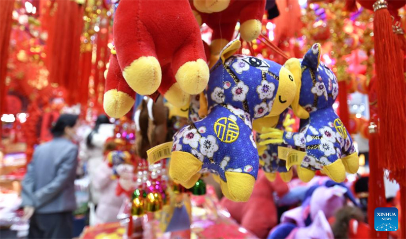 Τα εμπορικά κέντρα σε ολόκληρο το Πεκίνο αρχίζουν να πωλούν εορταστικά διακοσμητικά ενόψει του Φεστιβάλ της Άνοιξης