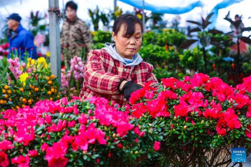 Οι αγροτικές εργασίες σε πλήρη εξέλιξη σε όλη την Κίνα με την έναρξη της άνοιξης