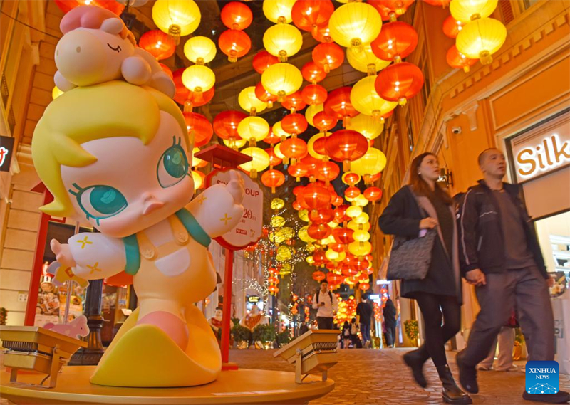 Φανάρια υψώνονται για να σηματοδοτήσουν την επερχόμενη Κινεζική Πρωτοχρονιά στο Χονγκ Κονγκ