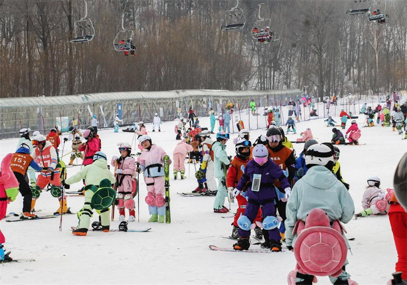Δραστηριότητες με πάγο και χιόνι σε άνθηση κατά τη διάρκεια των εορτών του Φεστιβάλ της Άνοιξης