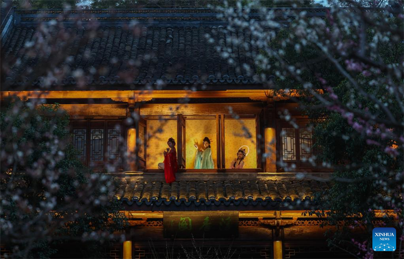 Νυχτερινή περιήγηση με άνθη δαμασκηνιάς στο Χανγκτζόου