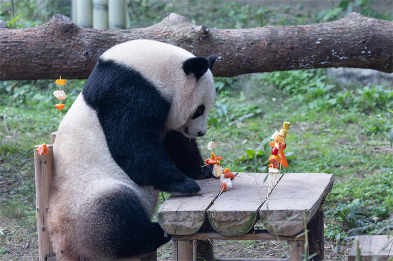 Τα γιγάντια πάντα γιόρτασαν το Φεστιβάλ της Άνοιξης μαζί με τους ανθρώπους