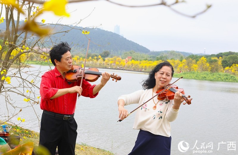 Νανίνγκ, Γκουανγκσί: Η άνοιξη ξεδιπλώνεται μέσα σε ανθισμένα λουλούδια
