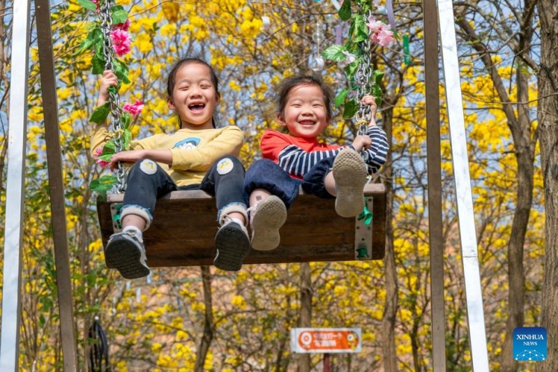 Παιδιά κάνουν κούνια πάνω από τα ανθισμένα λουλούδια στην πόλη Ουτζόου, στην Αυτόνομη Περιοχή Τζουάνγκ της επαρχίας Γκουανγκσί στη νότια Κίνα, στις 7 Μαρτίου του 2026.