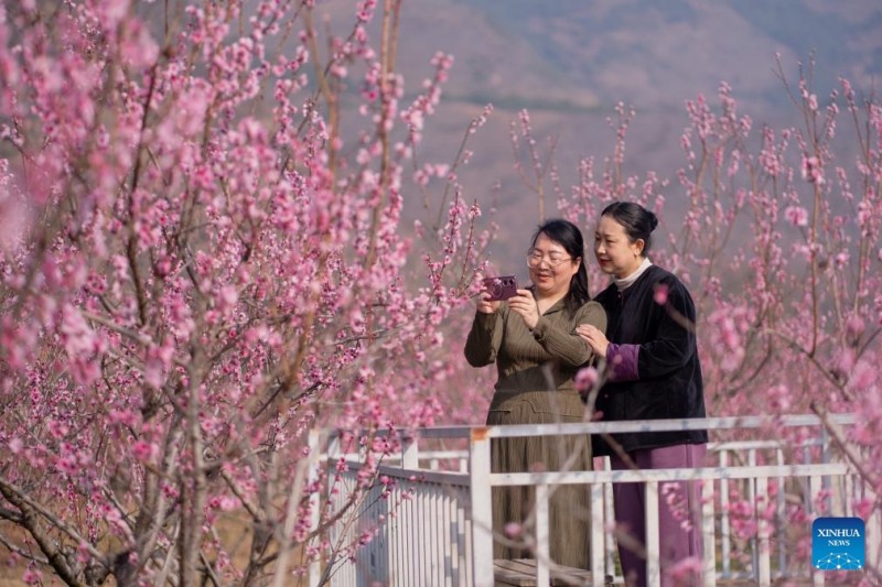 Ανοιξιάτικα τοπία σε όλη την Κίνα