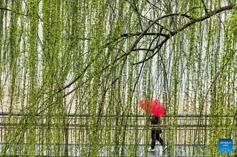 Ο ανοιξιάτικος τουρισμός σημειώνει άνθηση σε όλη την Κίνα