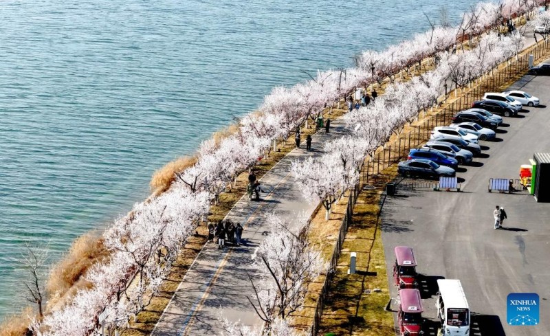 Ο ανοιξιάτικος τουρισμός σημειώνει άνθηση σε όλη την Κίνα