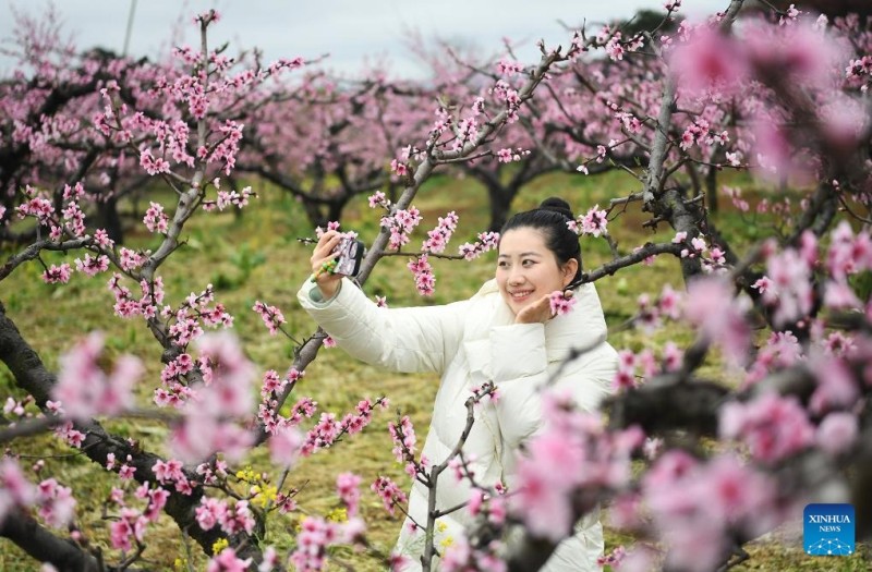 Ο ανοιξιάτικος τουρισμός σημειώνει άνθηση σε όλη την Κίνα