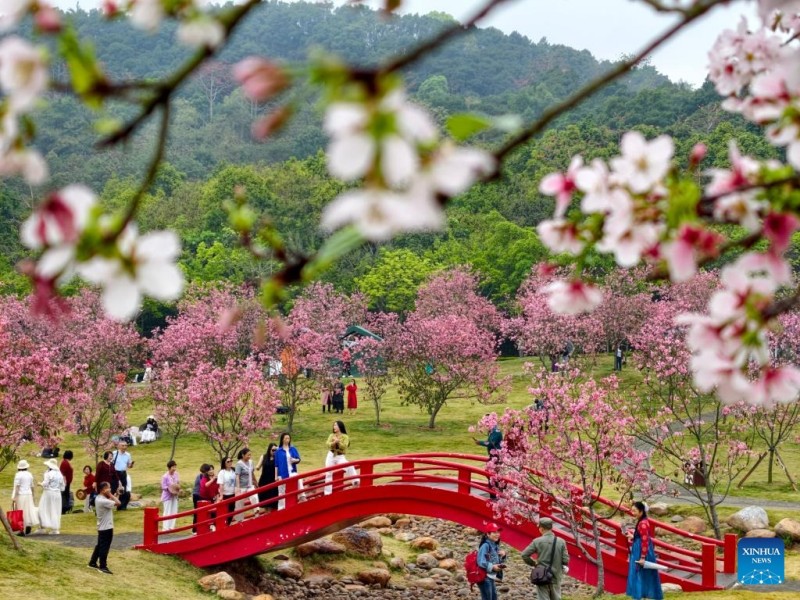 Ανοιξιάτικο τοπίο σε όλη την Κίνα